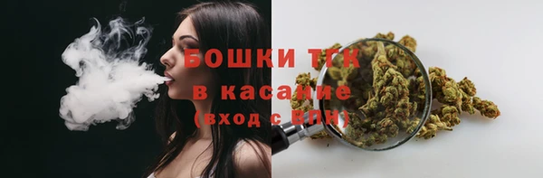 индика Баксан