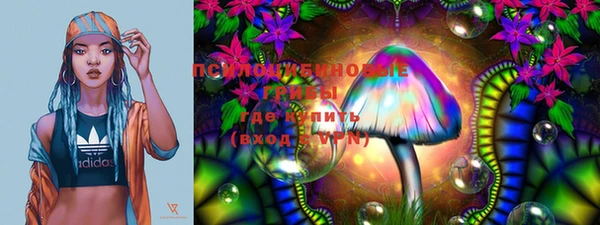 индика Баксан