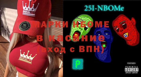 индика Баксан