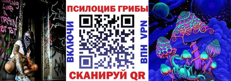 Галлюциногенные грибы Magic Shrooms где найти наркотики Губаха
